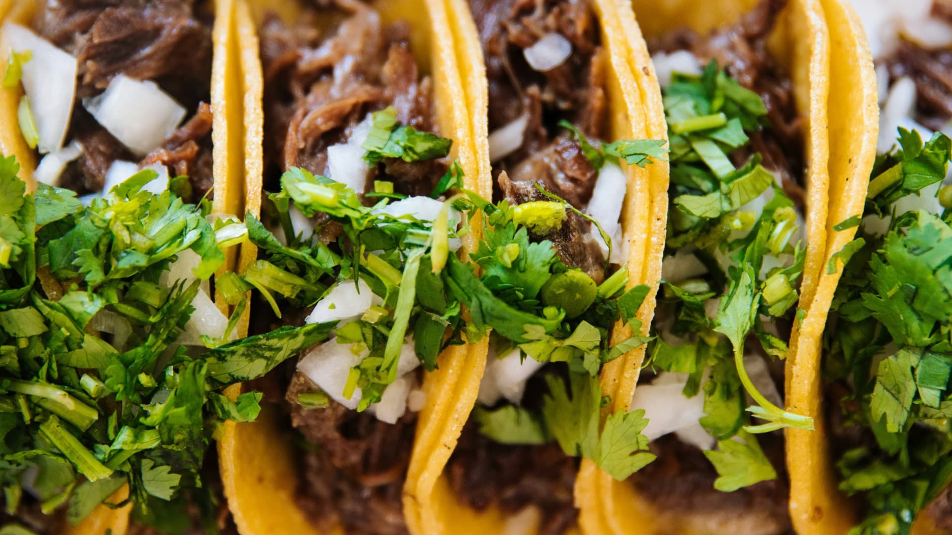 Tacos callejeros con tortilla de maíz, cilantro y cebolla